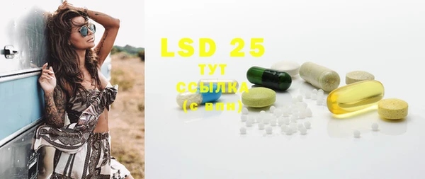 индика Лагань