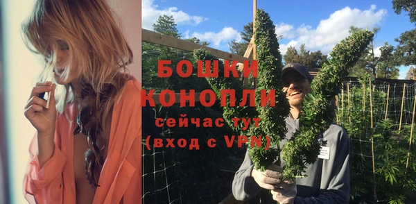 индика Лагань