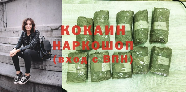индика Лагань