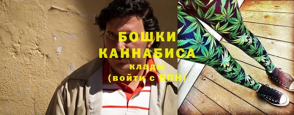 первитин Лабытнанги