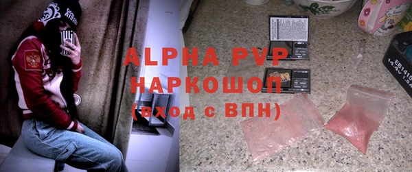 индика Лагань