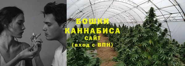 первитин Лабытнанги