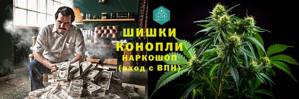 индика Лагань