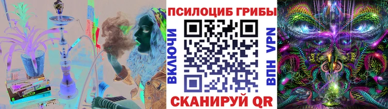 Купить закладки  Яранск  Псилоцибиновые грибы ЛСД 
